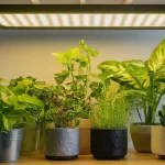 Сијалице за корњаче гмизавце и биљке.